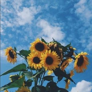 Meet your Posher, Lucy